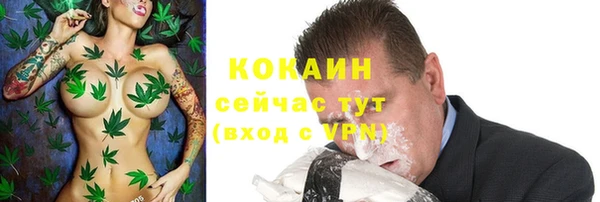 МДПВ Нея