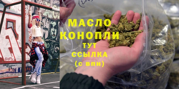 МДПВ Нея