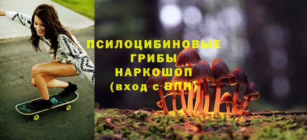 МДПВ Нея