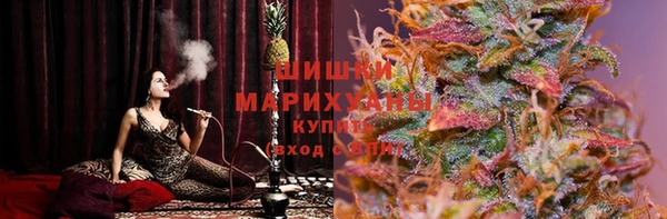 МДПВ Нея