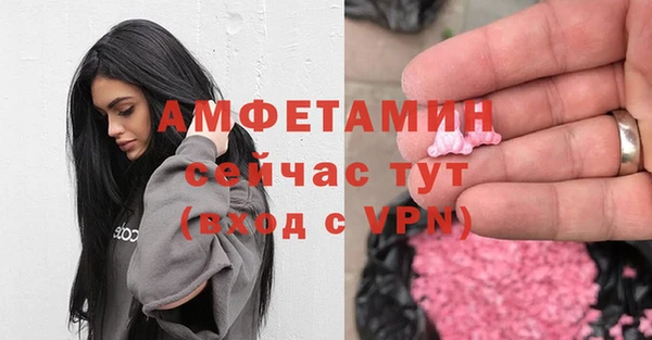 МДПВ Нея