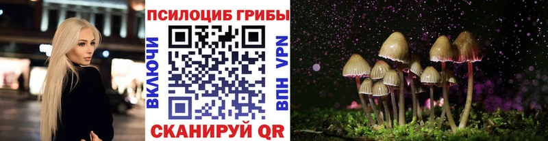 Галлюциногенные грибы прущие грибы  купить   Полярные Зори 